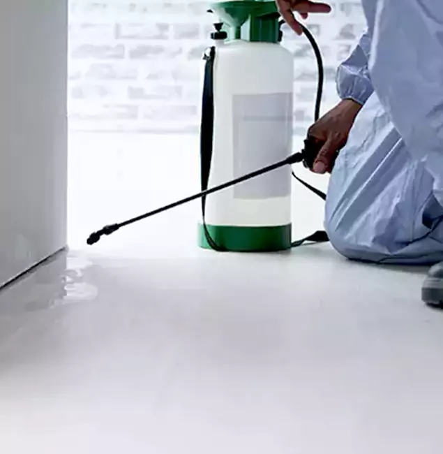 Why Choose Reston Pest Control Pro for Rat Exterminator in Reston, VA?