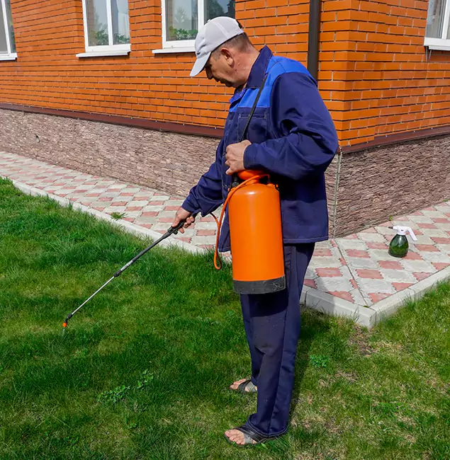 Why Choose Reston Pest Control Pro for Residential Pest Control in Reston, VA?
