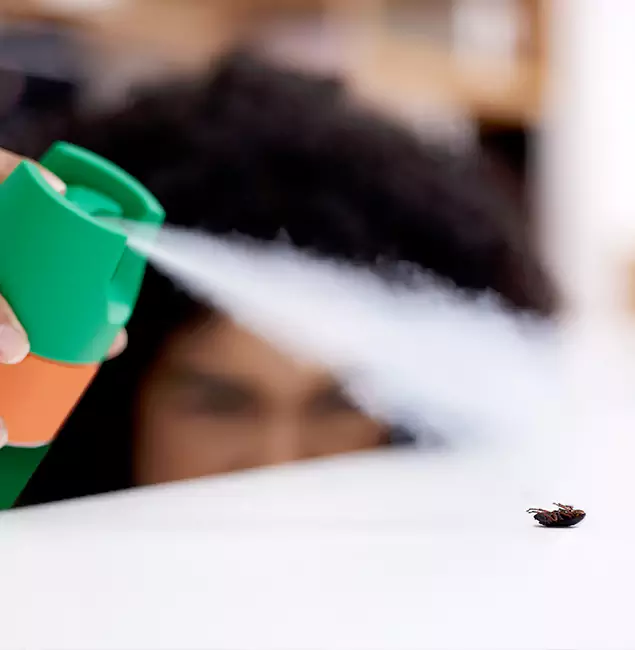Why Reston, VA Homeowners Choose Reston Pest Control Pro for Roach Pest Control?