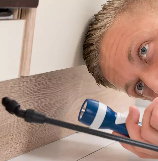 Why Choose Reston Pest Control Pro for Rodent Exterminator in Reston, VA?