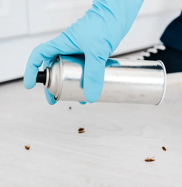 Why Choose Reston Pest Control Pro for Safe Bed Bug Treatment in Reston, VA?