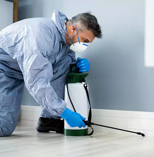 Why Choose Reston Pest Control Pro for Subterranean Termites Treatment in Reston, VA?