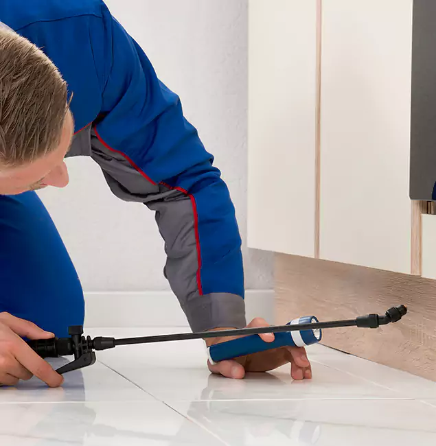Why Reston Residents Choose Reston Pest Control Pro to Get Rid of Sugar Ants?