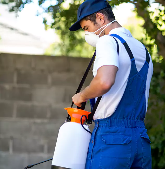 Why Reston Pest Control Pro Is the Right Choice for Yellow Jacket Removal in Reston, VA?
