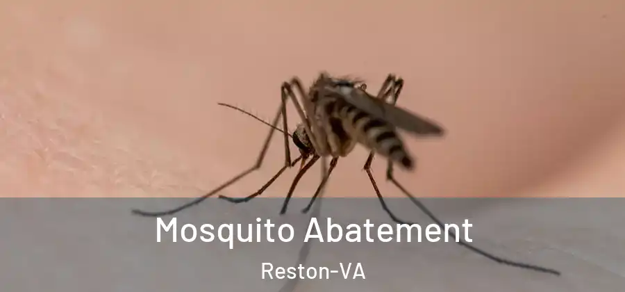 Mosquito Abatement Reston-VA