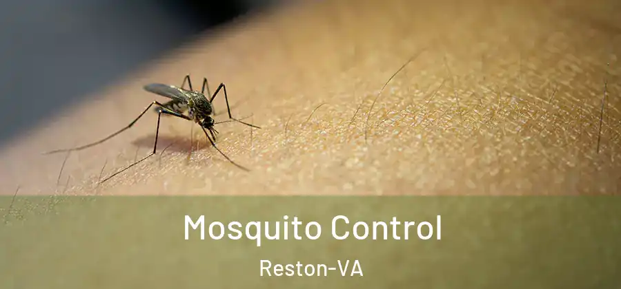  Mosquito Control Reston-VA