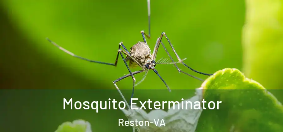 Mosquito Exterminator Reston-VA