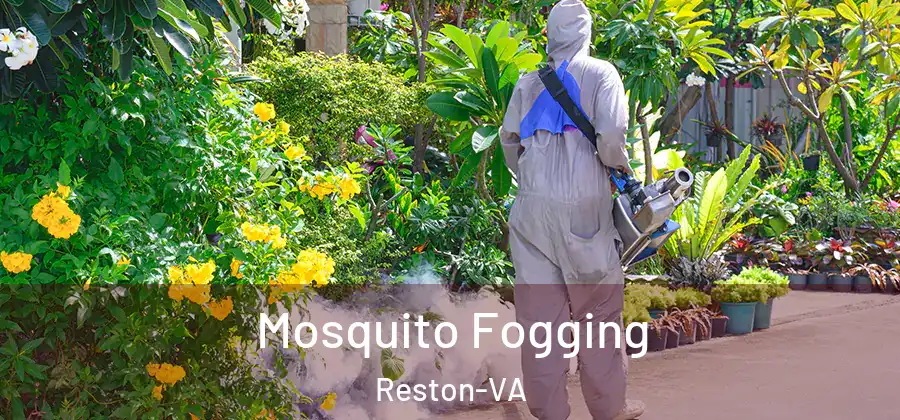  Mosquito Fogging Reston-VA