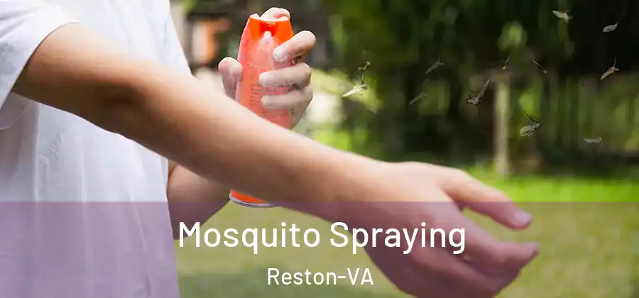 Mosquito Spraying Reston-VA