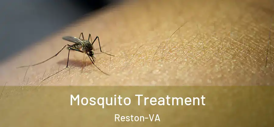 Mosquito Treatment Reston-VA