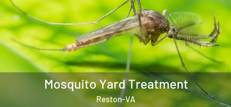 Mosquito Yard Treatment Reston-VA