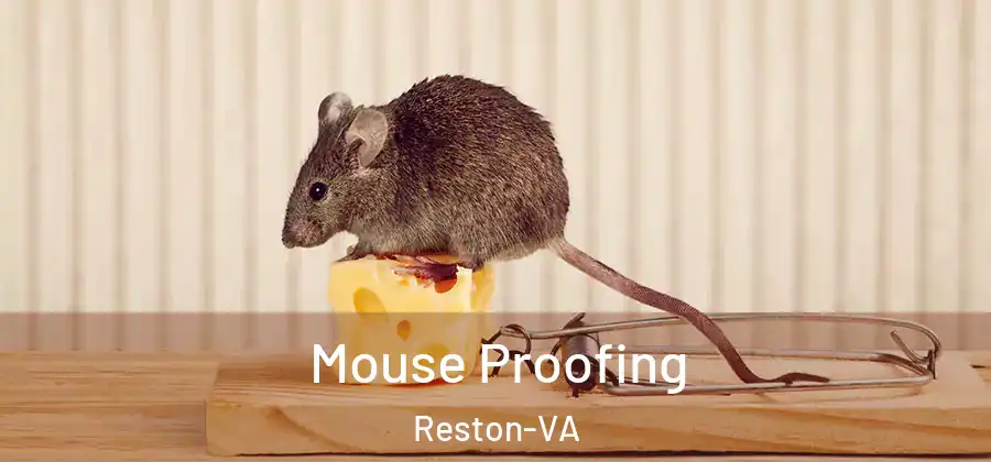 Mouse Proofing Reston-VA