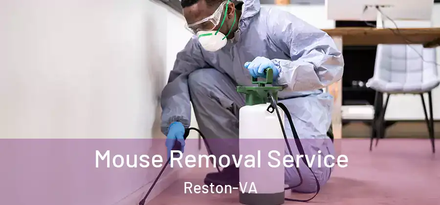  Mouse Removal Service Reston-VA