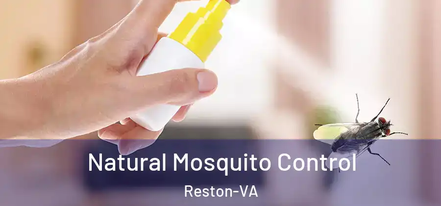 Natural Mosquito Control Reston-VA