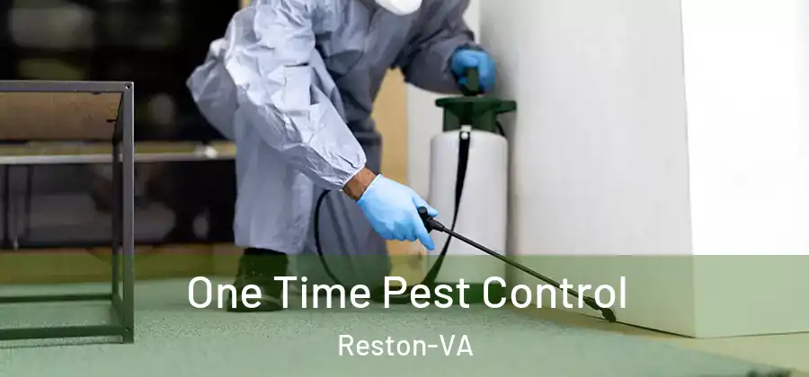One Time Pest Control Reston-VA