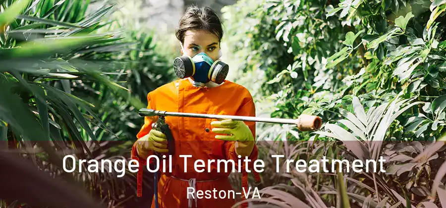 Orange Oil Termite Treatment Reston-VA