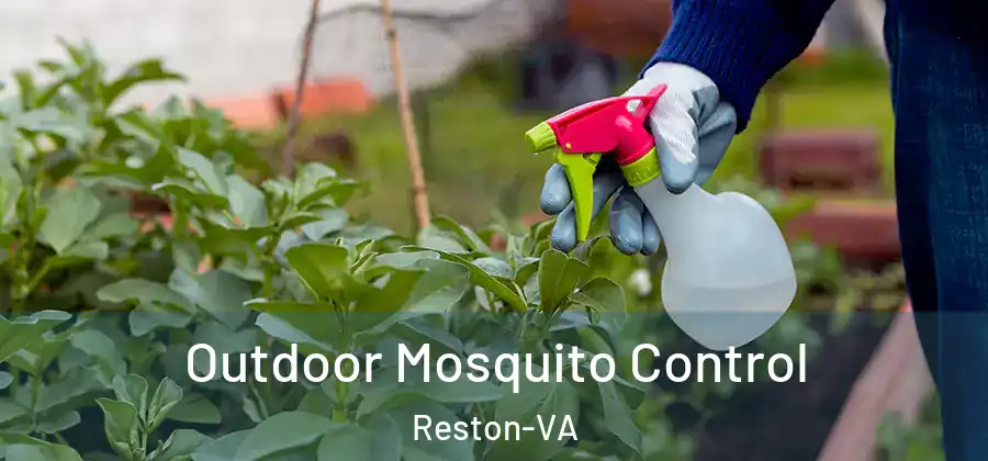 Outdoor Mosquito Control Reston-VA
