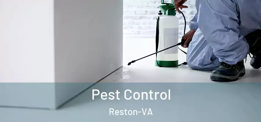 Pest Control Reston-VA