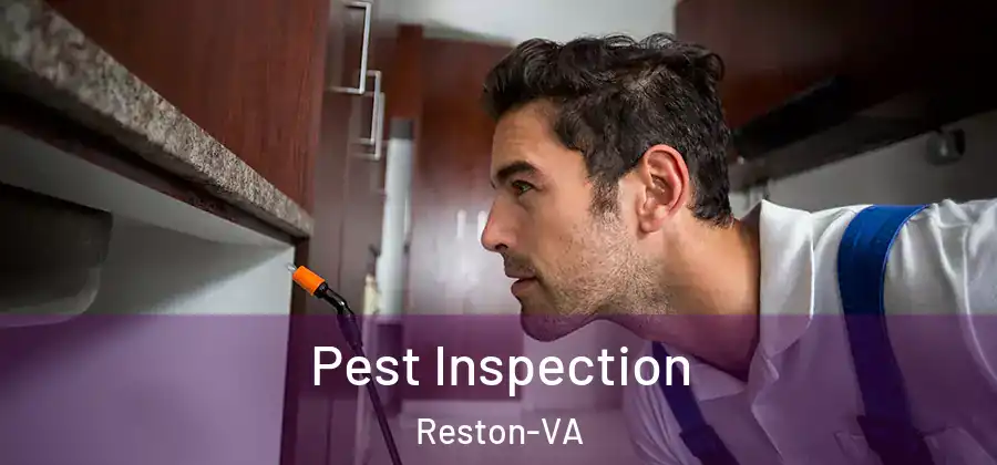  Pest Inspection Reston-VA