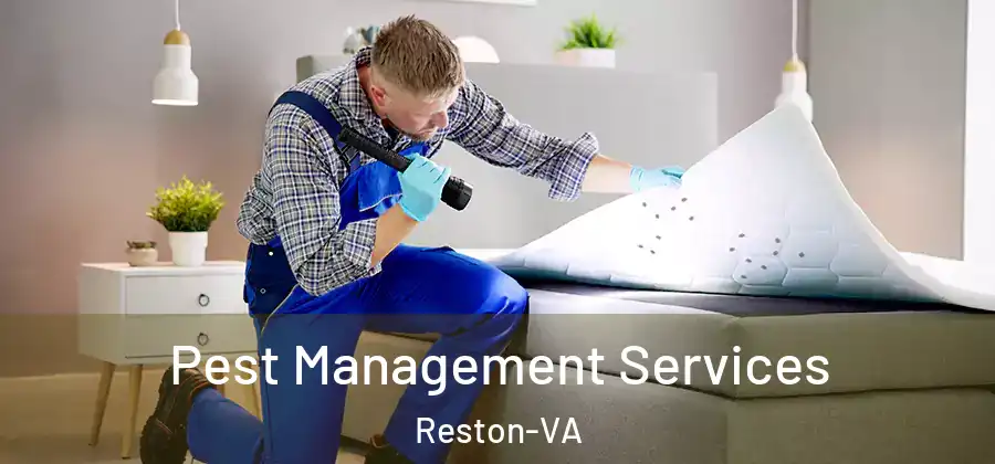 Pest Management Services Reston-VA