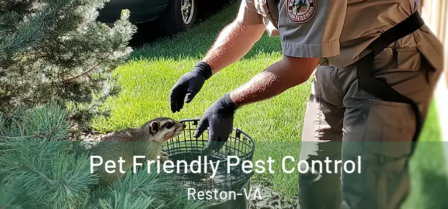 Pet Friendly Pest Control Reston-VA