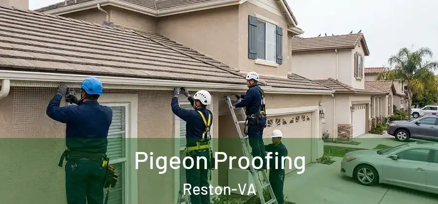 Pigeon Proofing Reston-VA