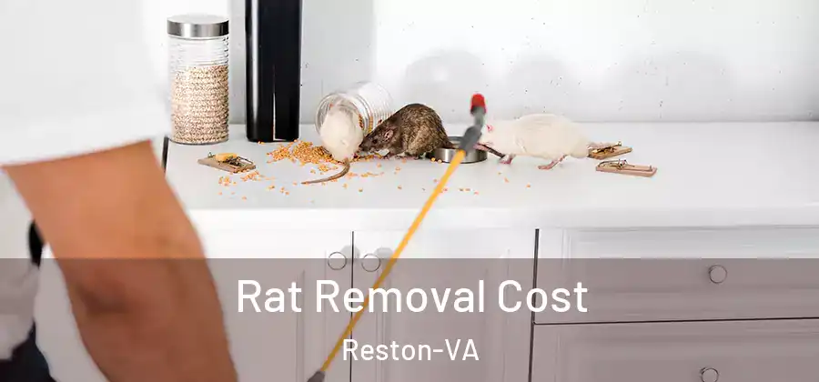  Rat Removal Cost Reston-VA