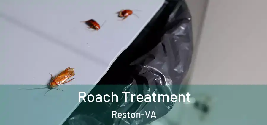 Roach Treatment Reston-VA