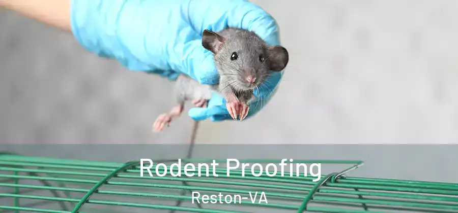  Rodent Proofing Reston-VA