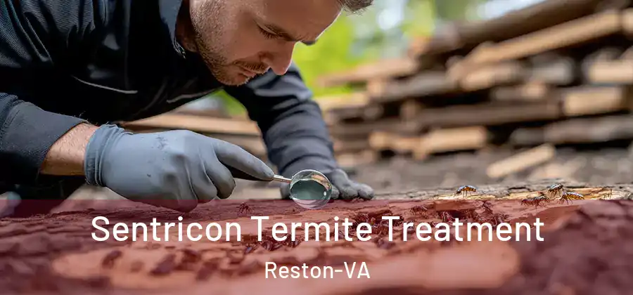  Sentricon Termite Treatment Reston-VA