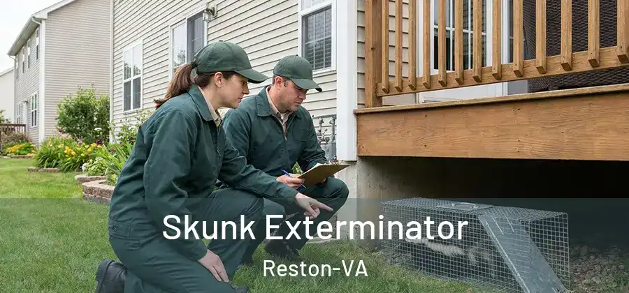 Skunk Exterminator Reston-VA