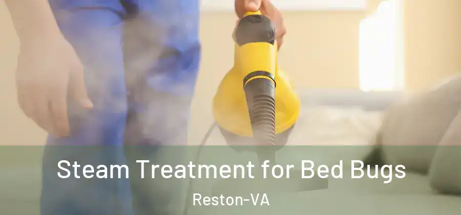 Steam Treatment for Bed Bugs Reston-VA