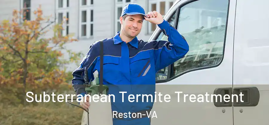 Subterranean Termite Treatment Reston-VA