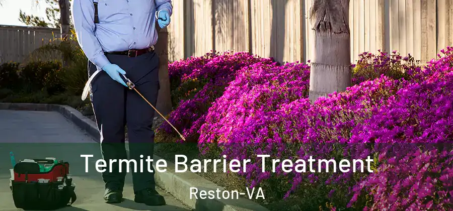 Termite Barrier Treatment Reston-VA