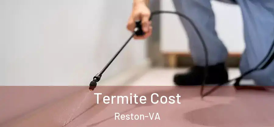 Termite Cost Reston-VA