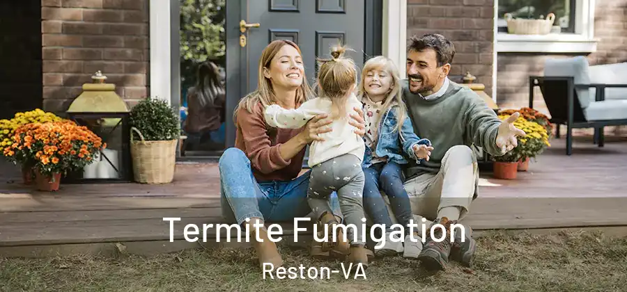 Termite Fumigation Reston-VA