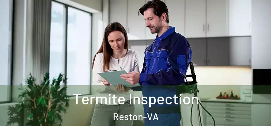 Termite Inspection Reston-VA