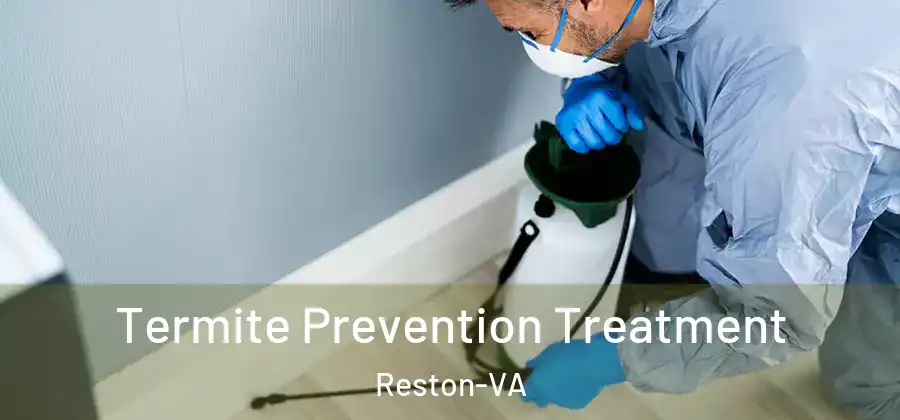 Termite Prevention Treatment Reston-VA