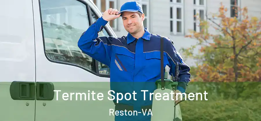 Termite Spot Treatment Reston-VA