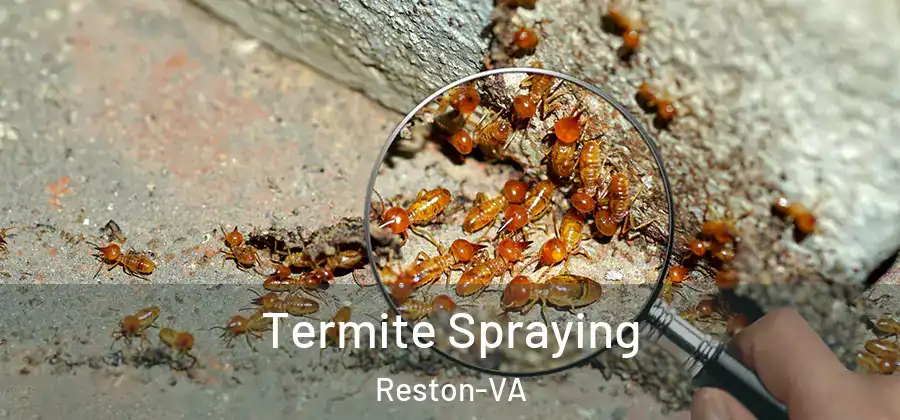 Termite Spraying Reston-VA