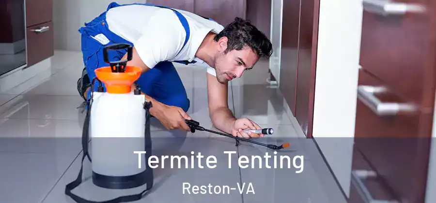 Termite Tenting Reston-VA