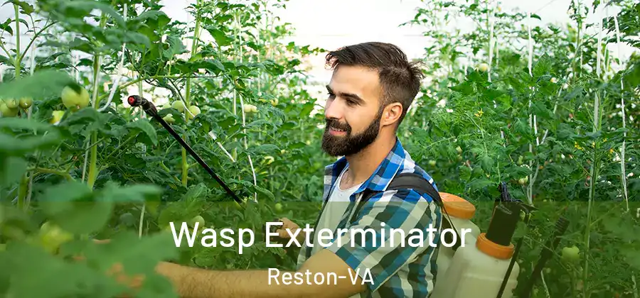 Wasp Exterminator Reston-VA