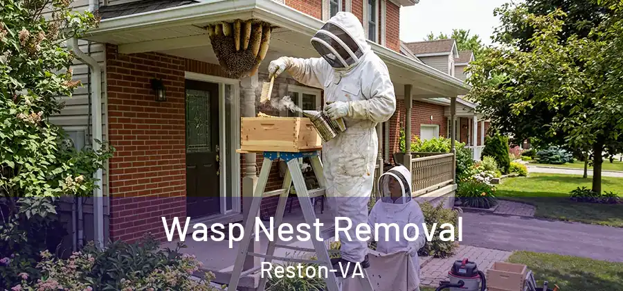 Wasp Nest Removal Reston-VA