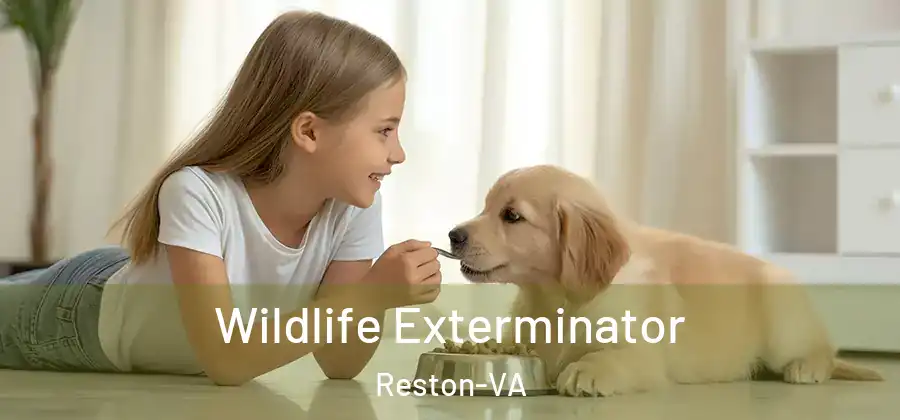  Wildlife Exterminator Reston-VA