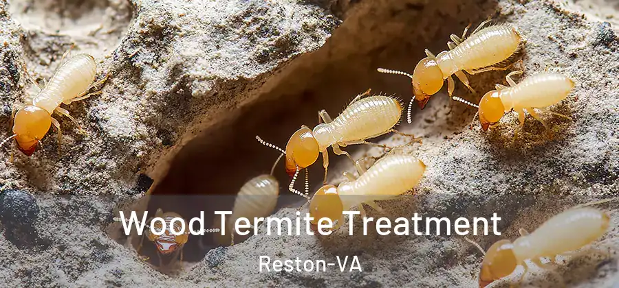 Wood Termite Treatment Reston-VA