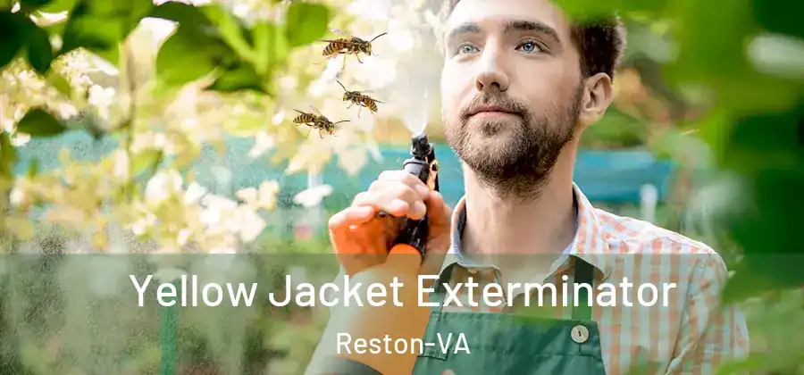 Yellow Jacket Exterminator Reston-VA